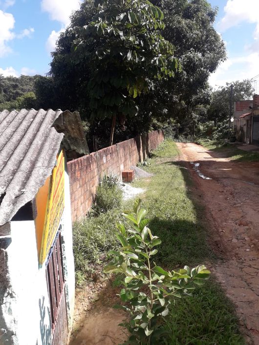 Lote/Terreno para venda tem 300 metros quadrados em Floriano - Jaboatão dos Guararapes - PE