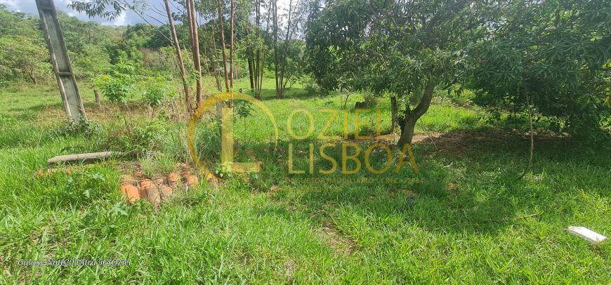 CHÁCARA 2 HECTARES (20.000m²) ESCRITURADA DF 180 SAMAMBAIA NORTE PLANA C/ CASA SIMPLES 900m DE CHÃO
