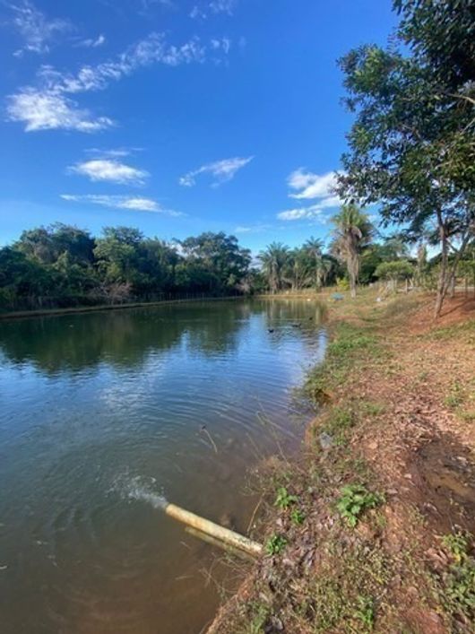 Excelente Chácara de 6,5 Hectares no Santos Dumont - Próximo ao Vale do Amanhecer