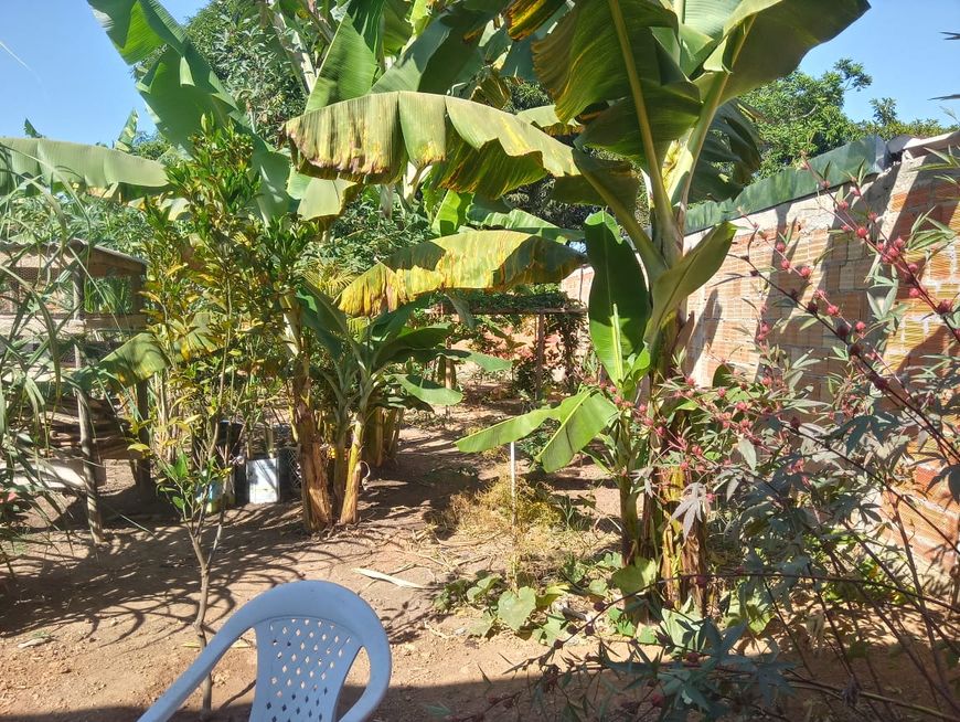 Casa na Rajadinha de 435m² / Setor Primavera / Planaltina DF