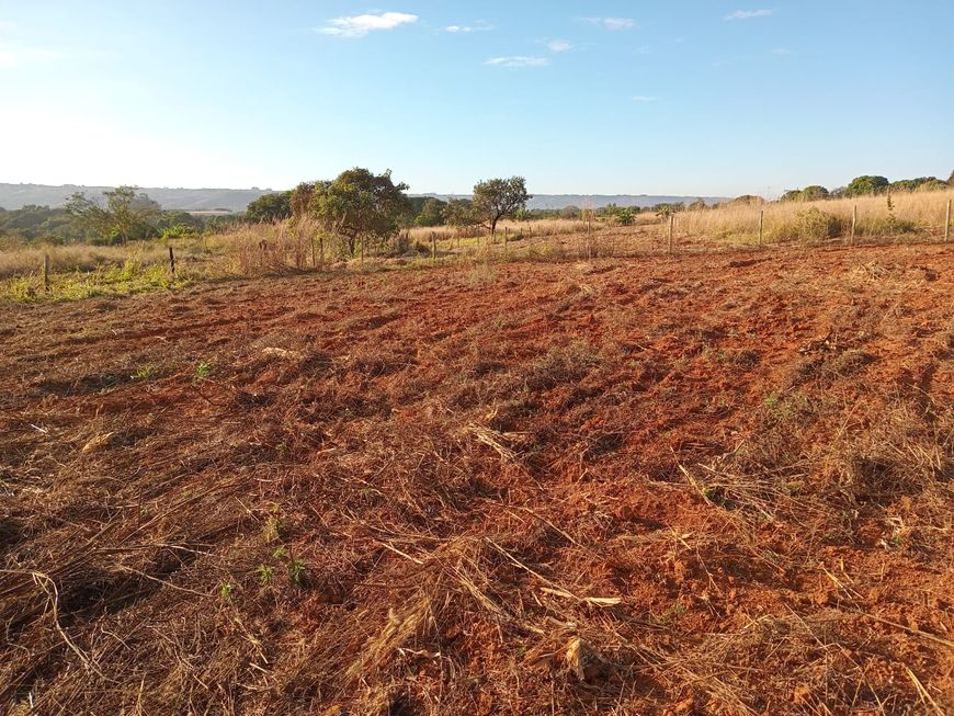 Imóvel para venda possui 25000 metros quadrados com 1 quarto em Ponte Alta Norte - Brasília - DF
