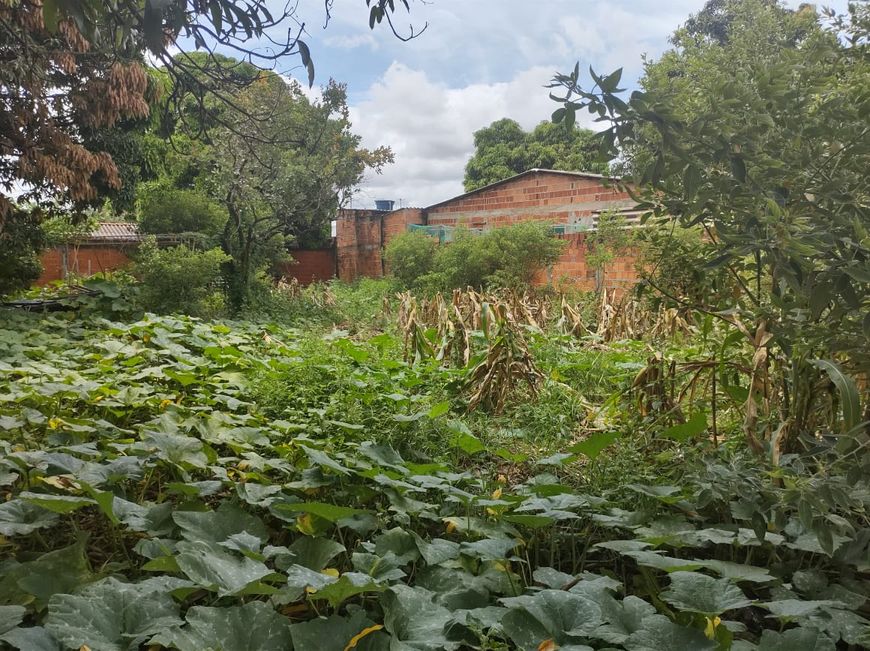 Lote de 600m² no Arapoanga - Próximo a Escola 01