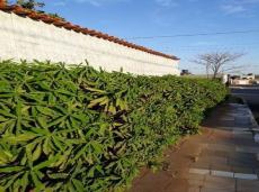 Vende casa com 3 quartos em Setor Oeste - Brasília - DF