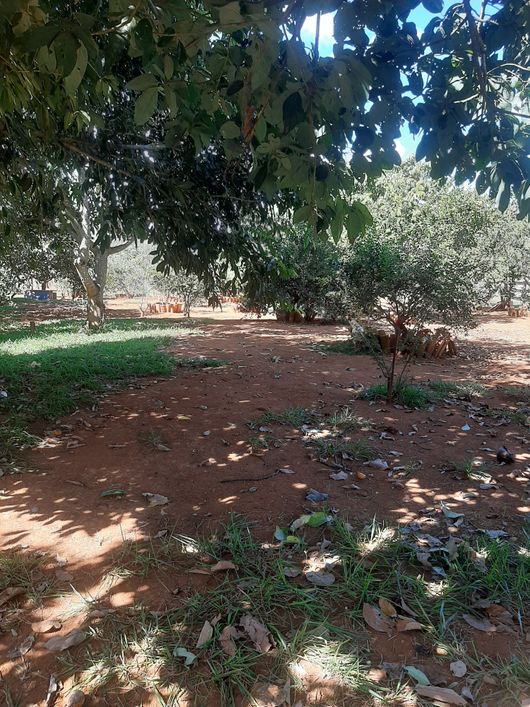 Imóvel para venda possui 21000 metros quadrados com 3 quartos