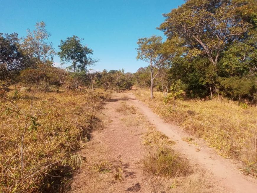 Imóvel para venda tem 385000 metros quadrados em Área Rural de São Sebastião - Brasília - DF