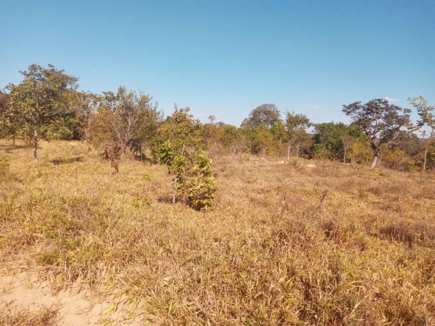 Imóvel para venda tem 385000 metros quadrados em Área Rural de São Sebastião - Brasília - DF