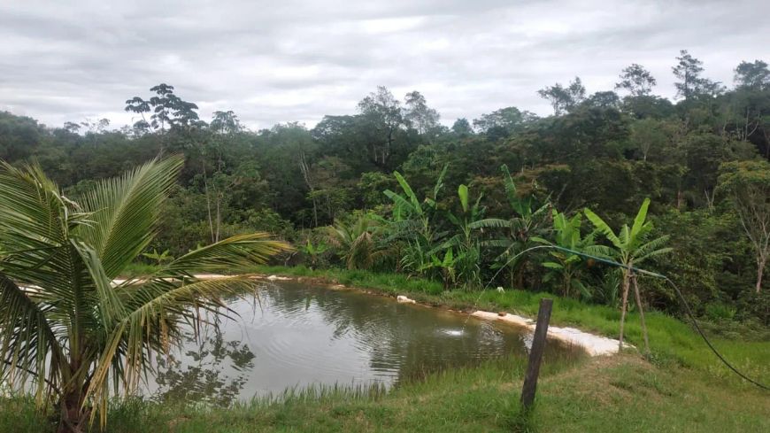 Ponte Alta Sul, 50.000m² Casas tanque de peixe poço artesiano R$ 550.000