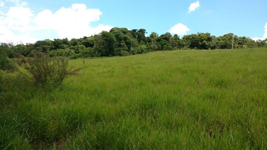 Terreno 1.170 m2 / Araçoiaba - para chácara ou Comercial // Rod. Charuri!