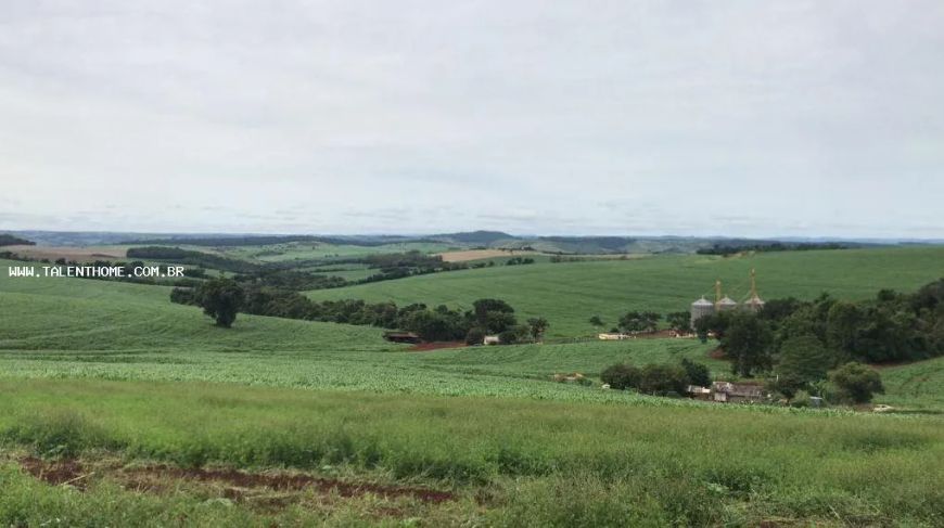 Área Rural para Venda em Londrina, Guairaçá