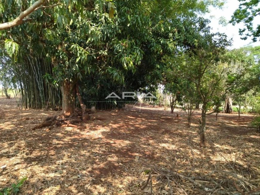 Chácara com 3 dormitórios à venda, 8800 m², Irerê - Londrina/PR