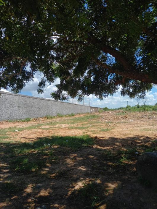Lote/Terreno stella Maris
