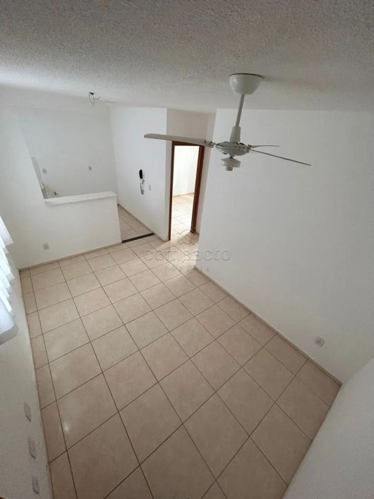 Apartamento Padrão em São José do Rio Preto