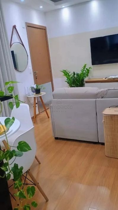 Apartamento Padrão em São José do Rio Preto