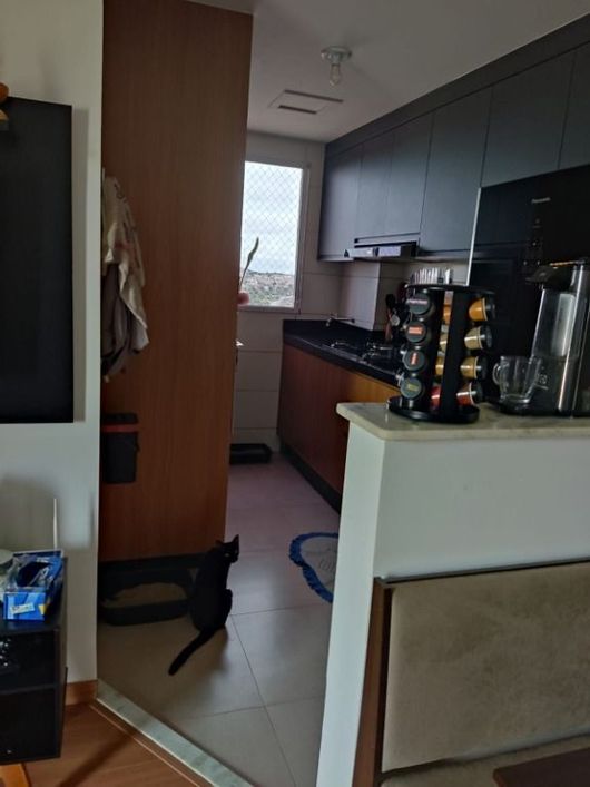 Apartamento com 2 dormitórios à venda, 55 m² por R$ 290.000,00 - Vila São Judas Tadeu - São José do