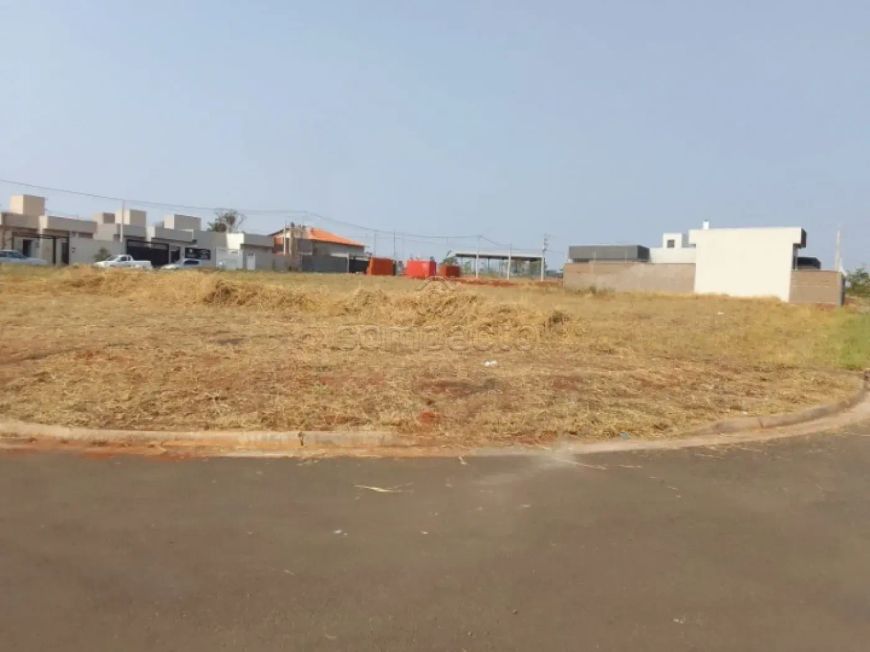 Terreno Padrão em São José do Rio Preto