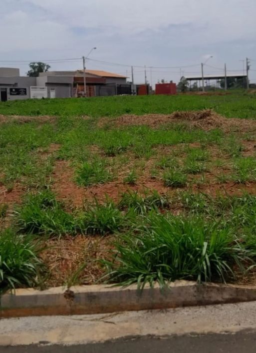Terreno Padrão em São José do Rio Preto