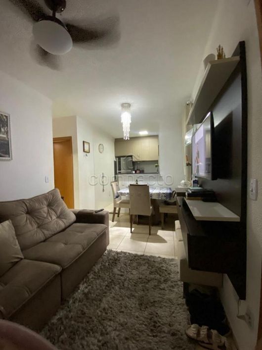Apartamento Padrão em São José do Rio Preto