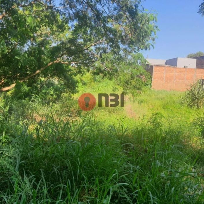 Terreno à venda, VILA CLEMENTINA, SAO JOSE DO RIO PRETO - SP