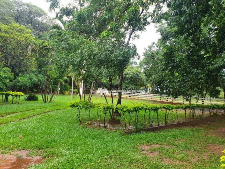 Chácara com 9 dormitórios à venda, 72600 m² por R$ 2.500.000,00 - São Benedito da Capelinha (Zona Ru