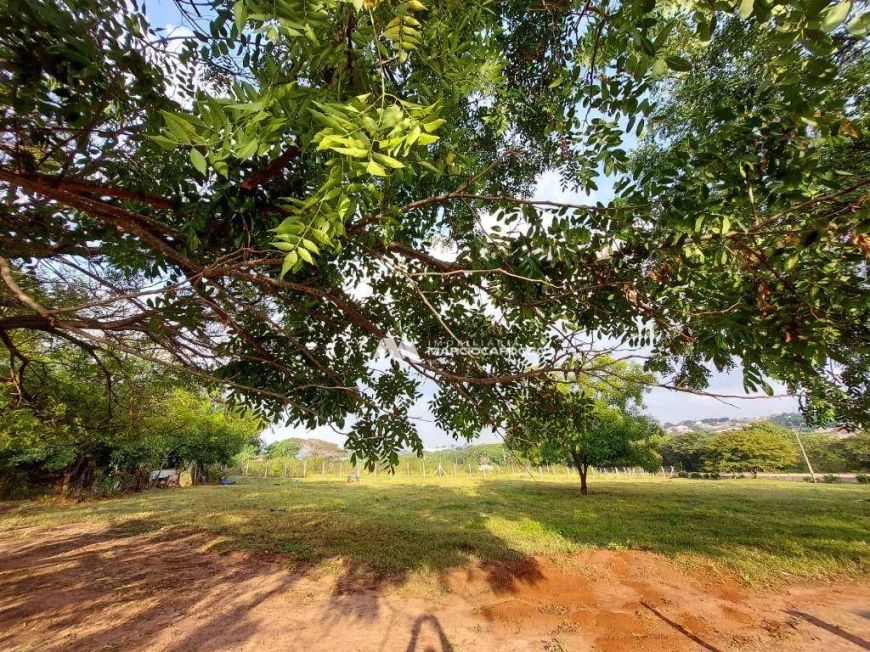 Área à venda, 6000 m² por R$ 3.900.000,00 - Setsul - São José do Rio Preto/SP