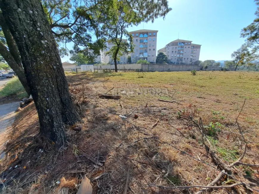 Terreno / Área À Venda com 8.000 m² na Vila São Judas Tadeu