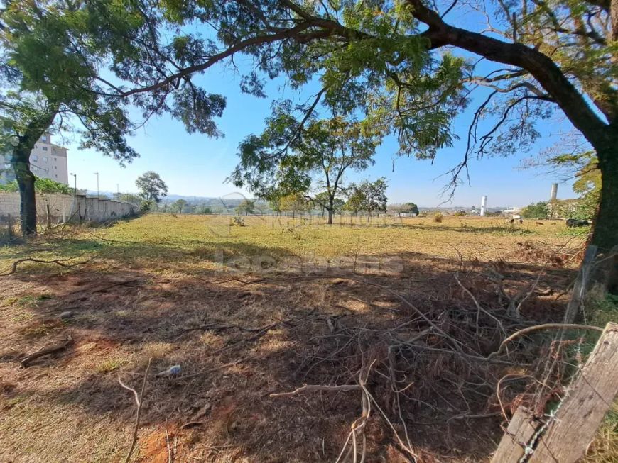 Terreno / Área À Venda com 8.000 m² na Vila São Judas Tadeu