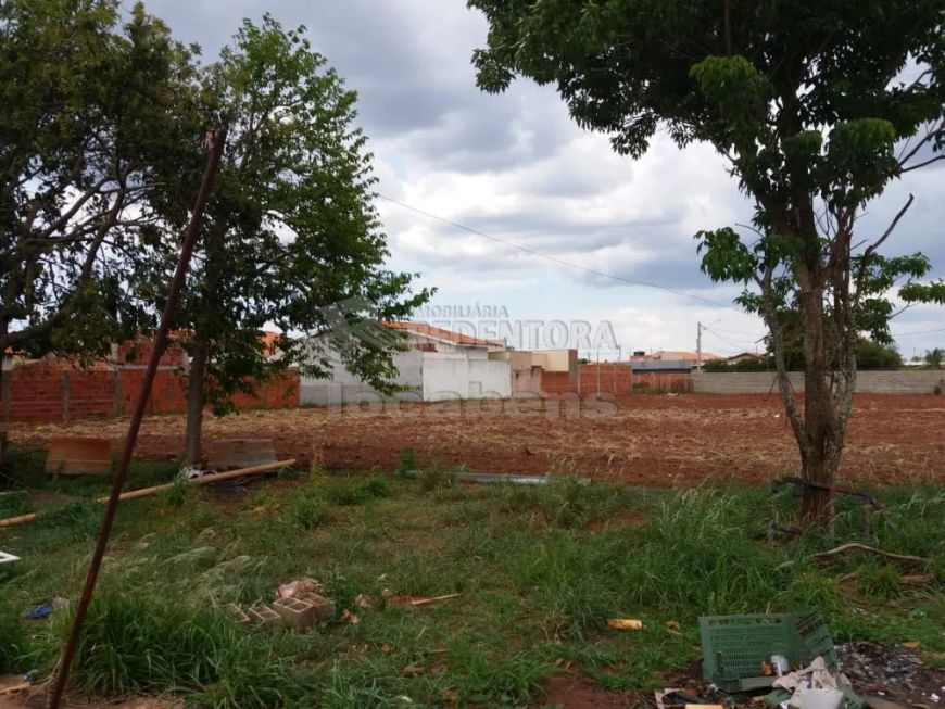 Terreno 25.000 m² Loteamento Jorge Rodrigues