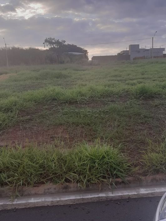Terreno Padrão