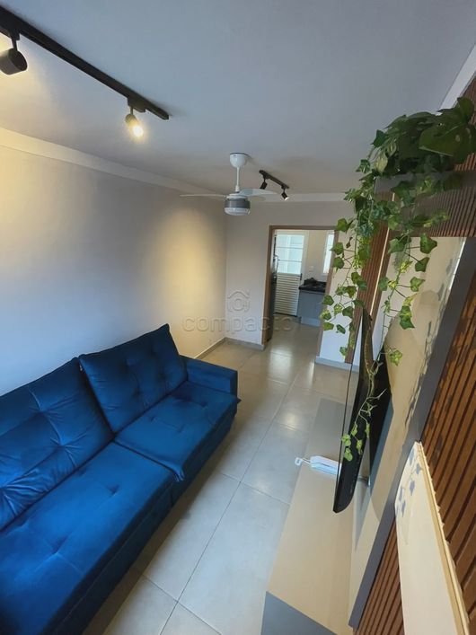Casa Condomínio em São José do Rio Preto