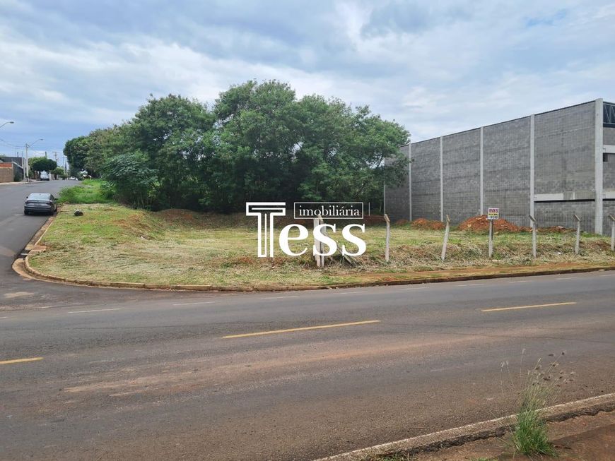 São 02 Terrenos à Venda Zona 08 - 702m² São José do Rio Preto SP