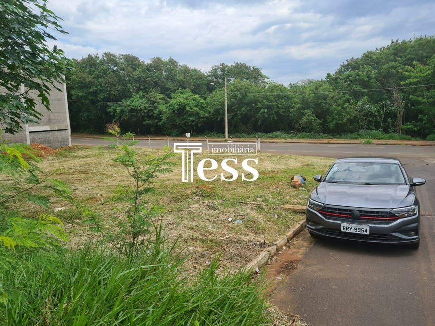 São 02 Terrenos à Venda Zona 08 - 702m² São José do Rio Preto SP