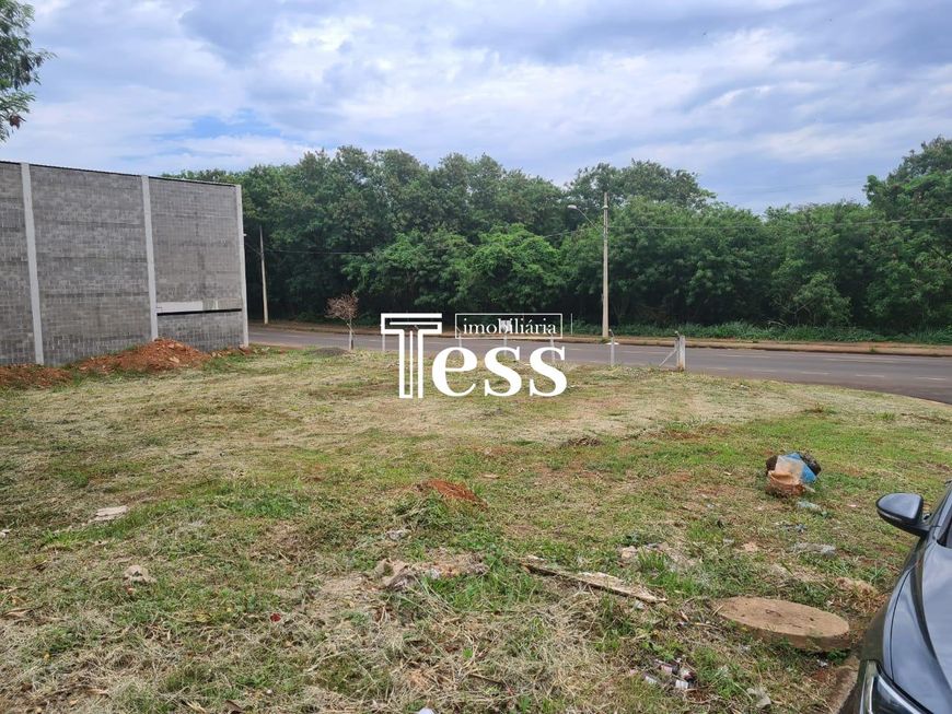 São 02 Terrenos à Venda Zona 08 - 702m² São José do Rio Preto SP