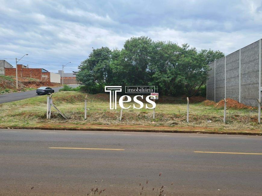 São 02 Terrenos à Venda Zona 08 - 702m² São José do Rio Preto SP