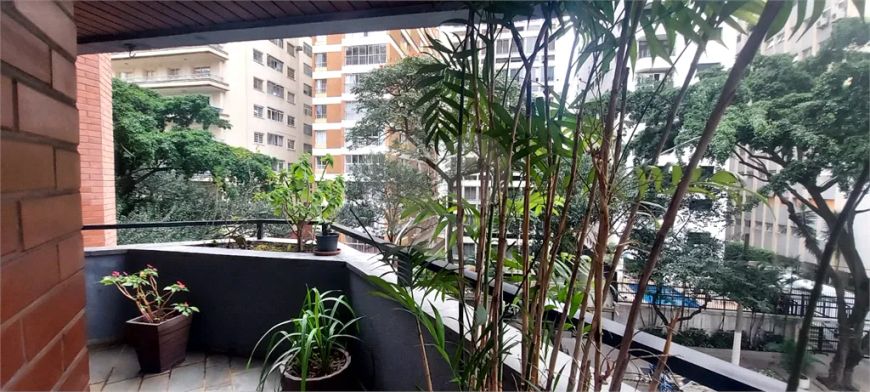 Apartamento com 4 quartos à venda em Higienópolis - SP