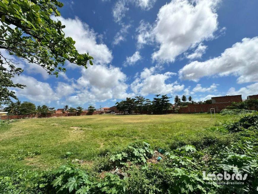 Terreno, 11000 m² - venda por R$ 4.950.000,00 ou aluguel por R$ 33.000,00/mês - Cidade dos Funcionár