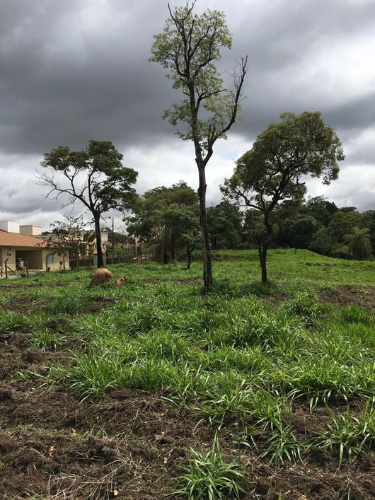 Área com 33.000 m2 na beira da BR 381 em frente à trincheira da estrada de Brumadinho