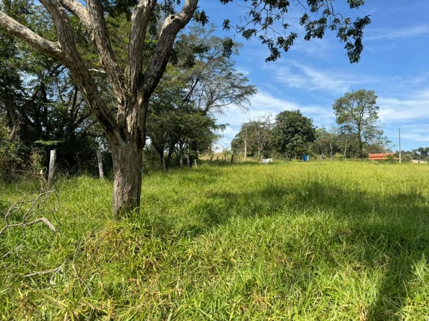 Betim - Terreno Padrão - Aroeiras