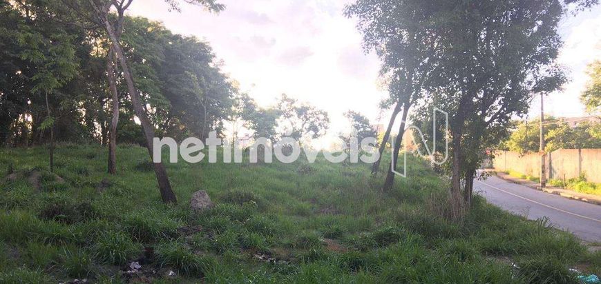 Venda Lote-Área-Terreno Jardim Nazareno Betim
