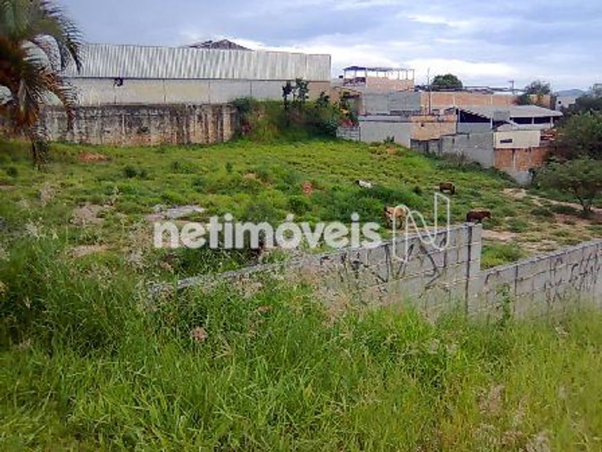 Venda Lote-Área-Terreno Dom Bosco Betim