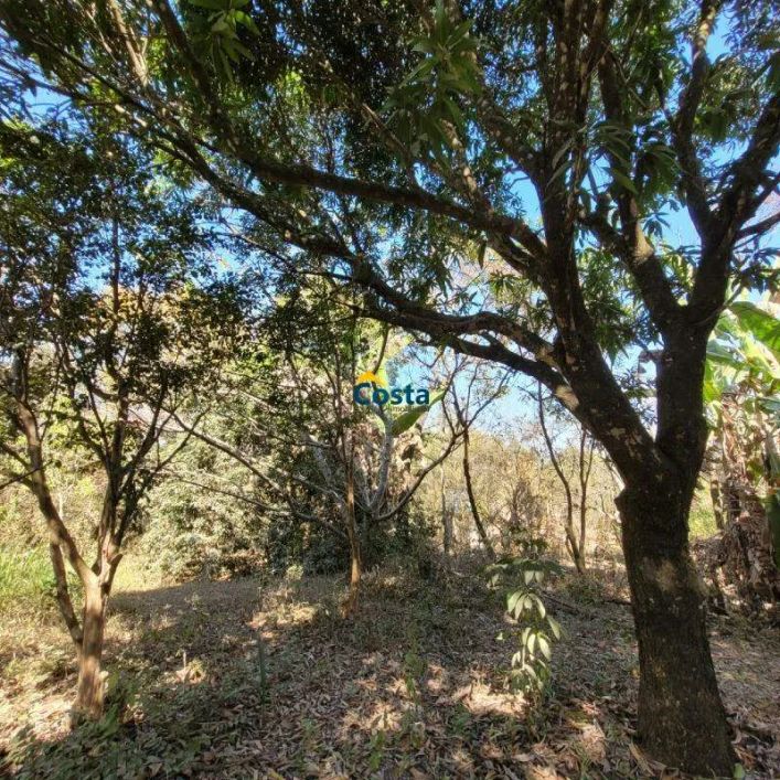 Vende-se Lote de 1.500m² com frutíferas no Saraiva