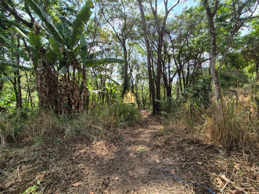 Terrenos à Venda em Betim - 1.100m², R$220.000 Cada Unidade, Pimentas