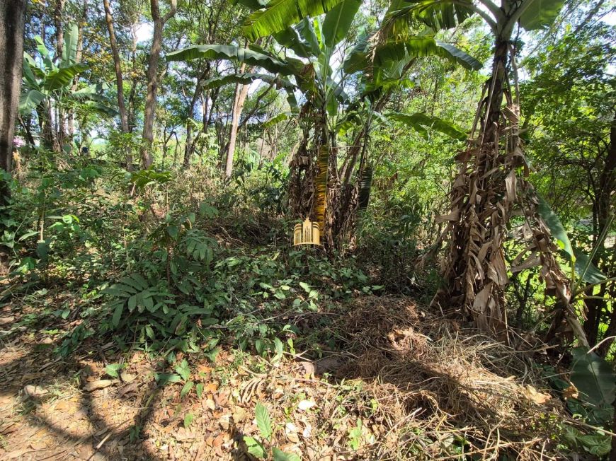 Terrenos à Venda em Betim - 1.100m², R$220.000 Cada Unidade, Pimentas