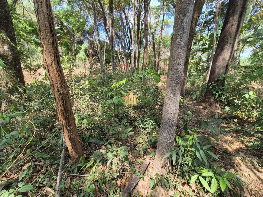 Terrenos à Venda em Betim - 1.100m², R$220.000 Cada Unidade, Pimentas