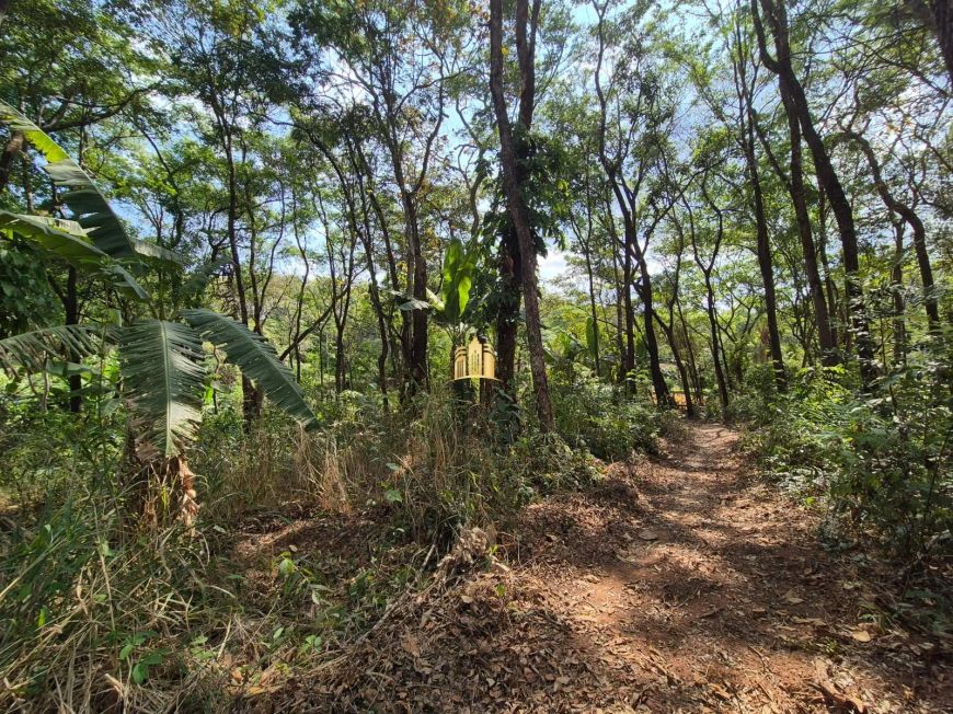 Terrenos à Venda em Betim - 1.100m², R$220.000 Cada Unidade, Pimentas
