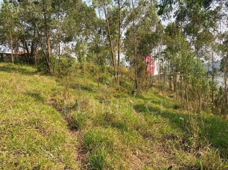 Terreno Residencial à venda, Chácara Recreio Lagoa dos Patos, Jundiaí - TE0540.