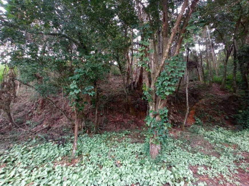 Terreno em Chácara Recreio Lagoa dos Patos - Jundiaí