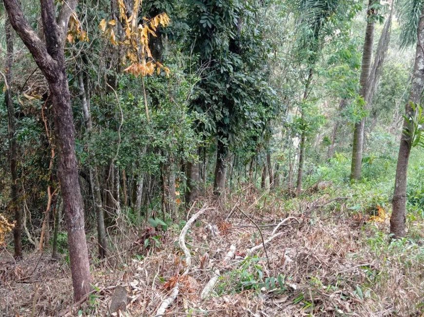 Terreno em Chácara Recreio Lagoa dos Patos - Jundiaí