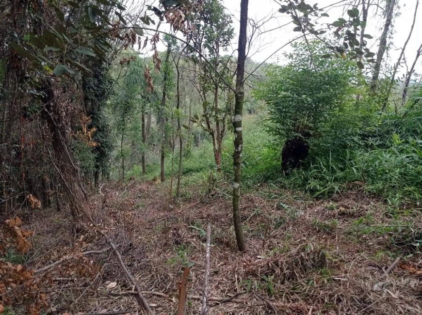 Terreno em Chácara Recreio Lagoa dos Patos - Jundiaí