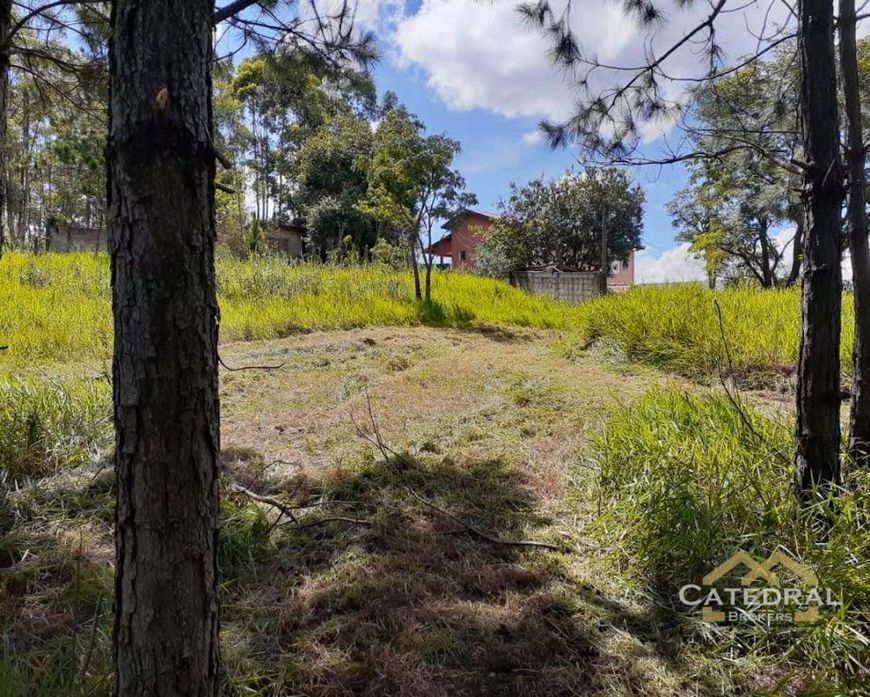 Terreno à venda, 3200 m² por R$ 660.000,00 - Caxambu - Jundiaí/SP