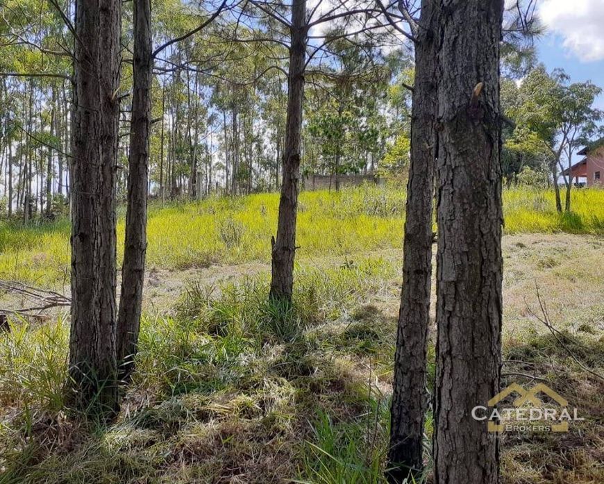 Terreno à venda, 3200 m² por R$ 660.000,00 - Caxambu - Jundiaí/SP